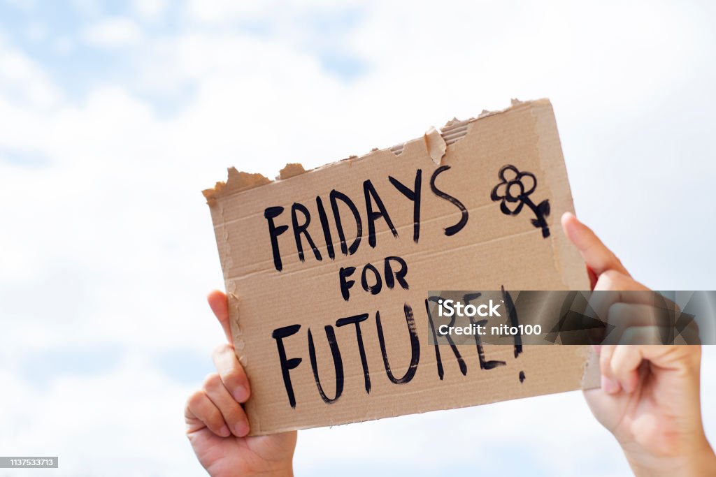 text fridays for future in a brown signboard closeup of a young caucasian man outdoors showing a brown cardboard signboard with the text fridays for future handwritten in it Fridays for Future Stock Photo