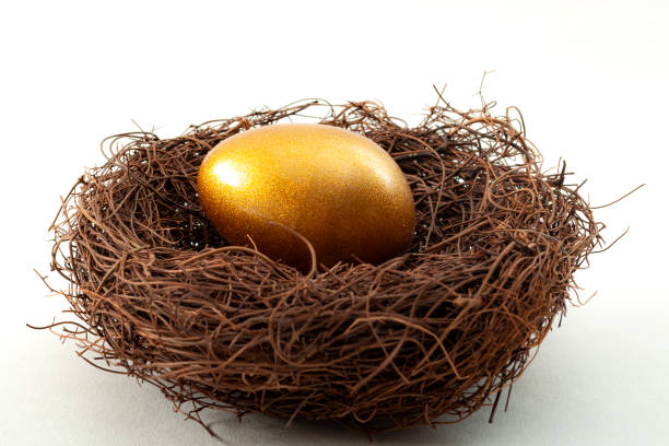 Individual retirement account, personal savings and pension fund concept with close up on a golden egg in a nest symbolizing the accumulated wealth, isolated on white background Individual retirement account, personal savings and pension fund concept with close up on a golden egg in a nest symbolizing the accumulated wealth, isolated on white background gold ira definition stock pictures, royalty-free photos & images