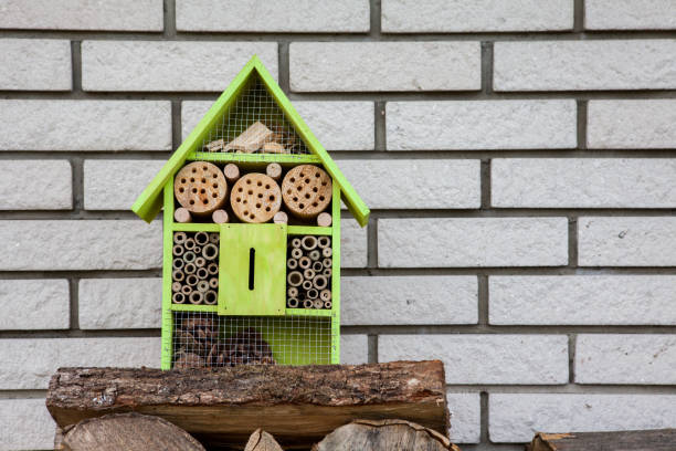 wooden hotel for insects