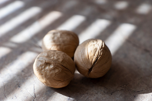 the macrophoto of three walnuts on a table in sunlight