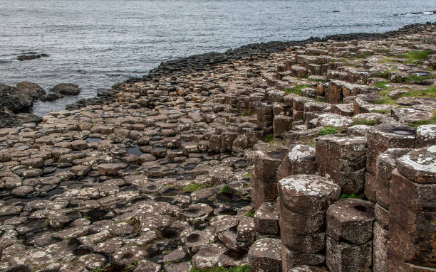 szczegóły sześciokątnych kamiennych filarów w giants causeway, irlandia północna, morze w tle. - coleraine zdjęcia i obrazy z banku zdjęć