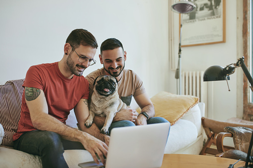 Homosexual men using laptop on sofa. Mid adult gay couple are sitting with pug in living room. They are smiling while using internet at home.