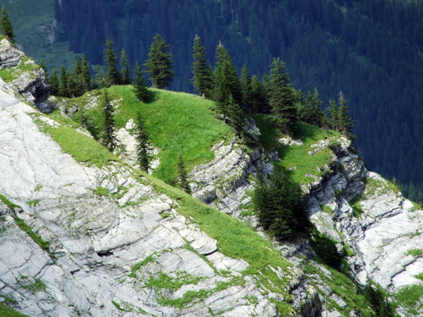Stones and rocks in the Sernftal alpine valley - Canton of Glarus, Switzerland