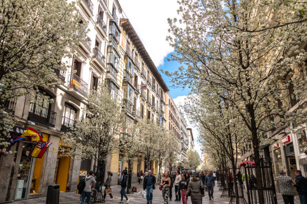 Madrid, Spain. 19th March 2019. People walk along a tree-lined shopping street in the centre of Madrid, Spain. Blossom on the trees in early spring.