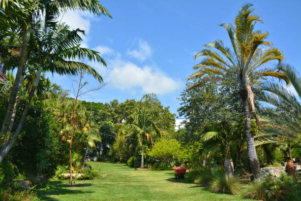 istock Tropical garden in Miami Beach. 1137545323