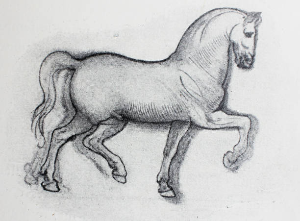 Ilustración de Boceto De Caballo Dibujo A Lápiz De Leonardo Da Vinci En Un  Libro Vintage y más Vectores Libres de Derechos de Caballo - Familia del  caballo - iStock