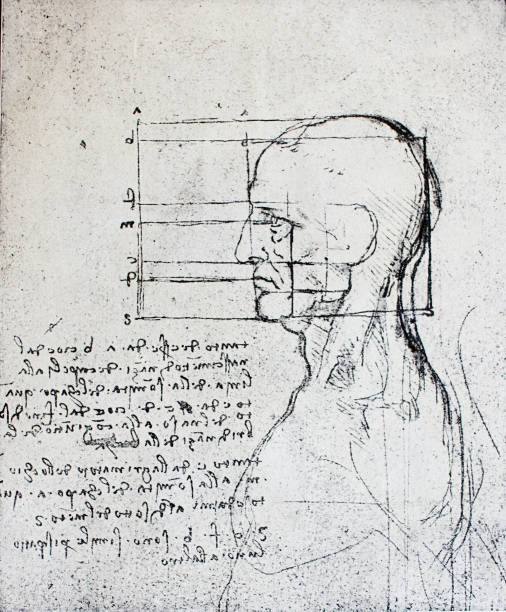 istock Proportions of head with notes  by Leonardo Da Vinci in a vintage book 1137548932