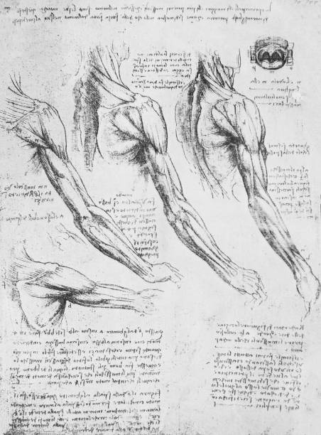 istock Anatomical notes, mechanics of hand muscles by Leonardo Da Vinci in a vintage book 1137549123