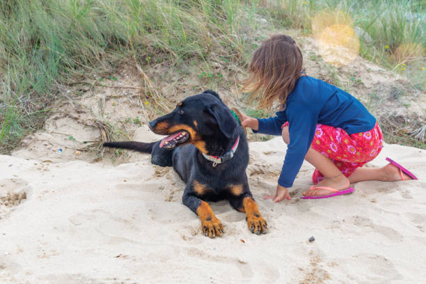 istock beautiful girl playing with her dog 1137549983