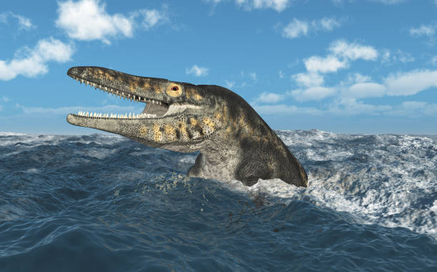 istock Mosasaur Tylosaurus in the stormy sea 1137552110
