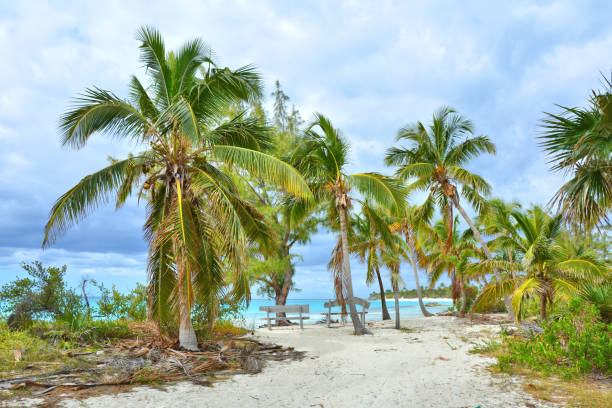 praia do paraíso no console, bahamas - eleuthera island - fotografias e filmes do acervo