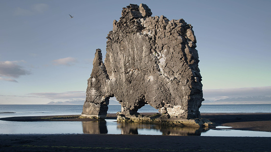Black beach with iconic rock. Hvitserkur, Iceland