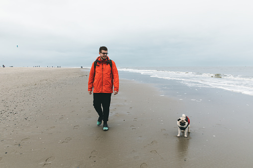 Man and dog walking at beautiful beach on Texel island