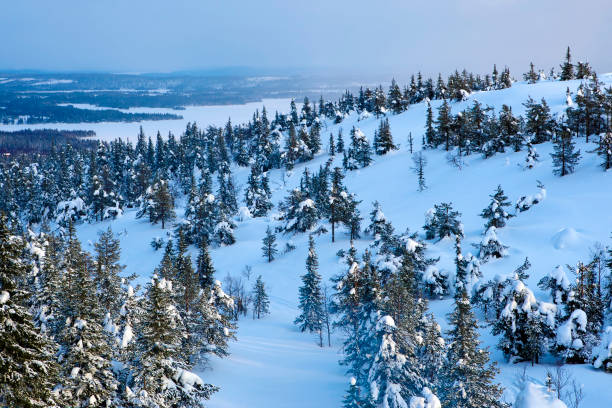 istock Winter landscape in Ruka skiing area, Finland. 1137565612