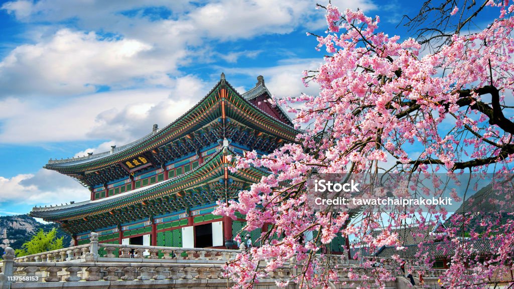 Cherry blossoms in spring, Seoul in Korea. South Korea Stock Photo