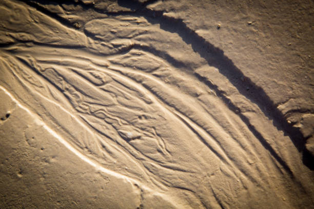 istock Natural background with wet sand 1137568388