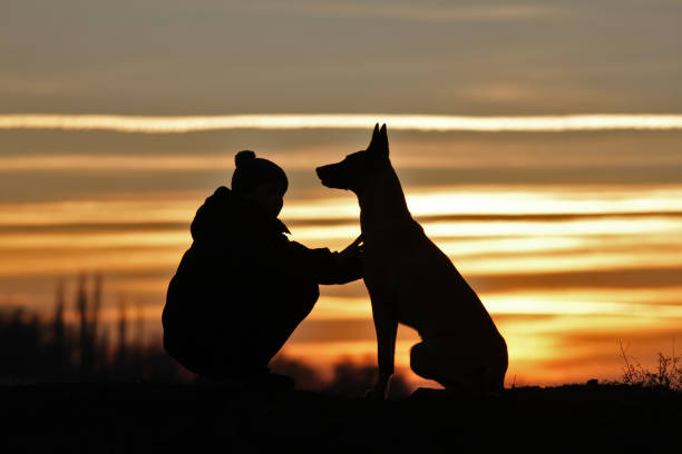 istock Boy and dog on sunset background 1137569735