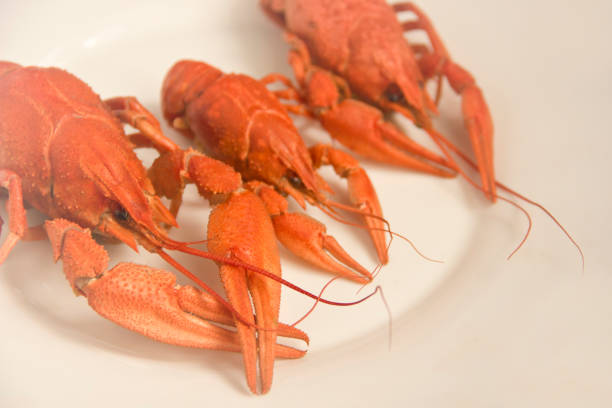 istock Boiled red crayfish on the plate food concept. Closeup 1137571096