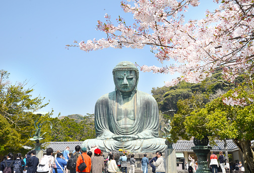 Kamakura, Japan - April 10, 2014: The Great Buddha of Kamakura monumental bronze statue, one of the most famous icons and attractions of Japan