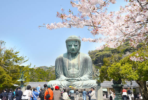 The Great Buddha of Kamakura Kamakura, Japan - April 10, 2014: The Great Buddha of Kamakura monumental bronze statue, one of the most famous icons and attractions of Japan kamakura city photos stock pictures, royalty-free photos & images