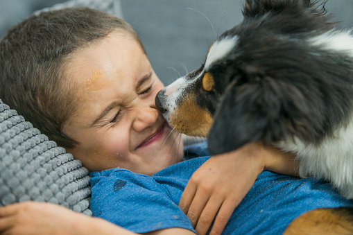 A young boy laughing as his border collie licks his face. They are lying down on a couch.