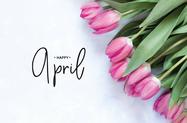 istock Inscription Happy April. Tulip flower. Spring background. 1137574957