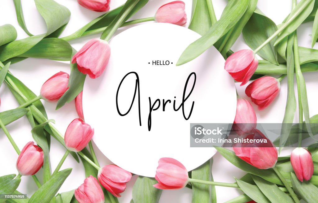 Ninscription Hello April Tulip Flower Spring Background Stock Photo -  Download Image Now - iStock