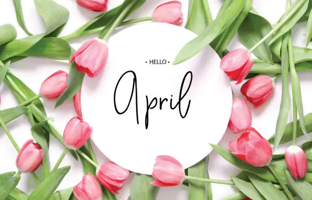 "nInscription Hello April. Tulip flower. Spring background.