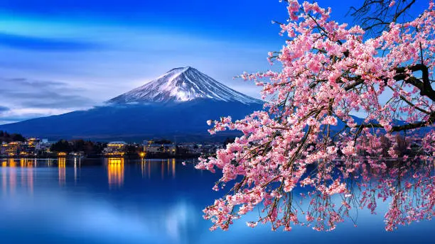 Photo of Fuji mountain and cherry blossoms in spring, Japan.