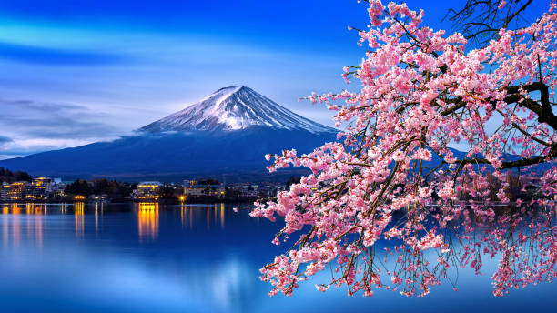 fuji mountain and cherry blossoms in spring, japan. - japan imagens e fotografias de stock