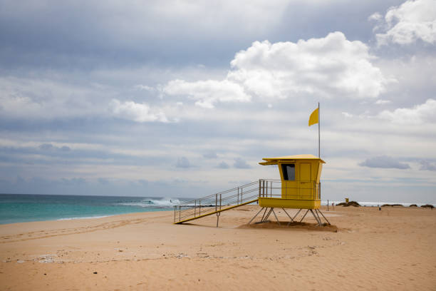 istock Lifeguard tower on beach , Canary Islands 1137589195