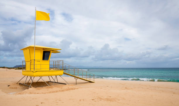 istock Lifeguard tower on beach , Canary Islands 1137589228