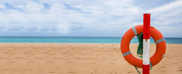istock lifebuoy on the beach 1137589370