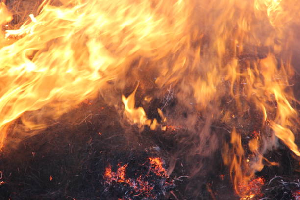 istock Bale Fire by Andrea Lawrence C-1020377 1137589421