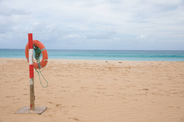 istock lifebuoy on the beach 1137589424