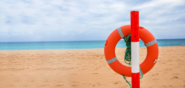 istock lifebuoy on the beach 1137589500