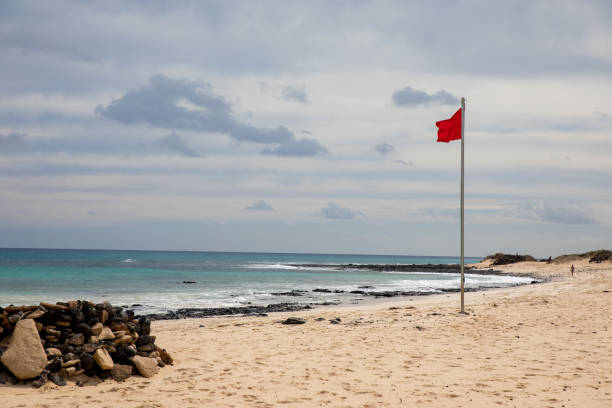 istock lifebuoy on the beach 1137589560
