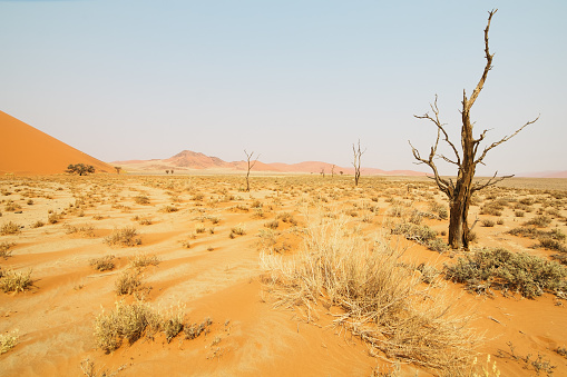 Photo of a dirt road i the Namibian Desert in Namíbia.