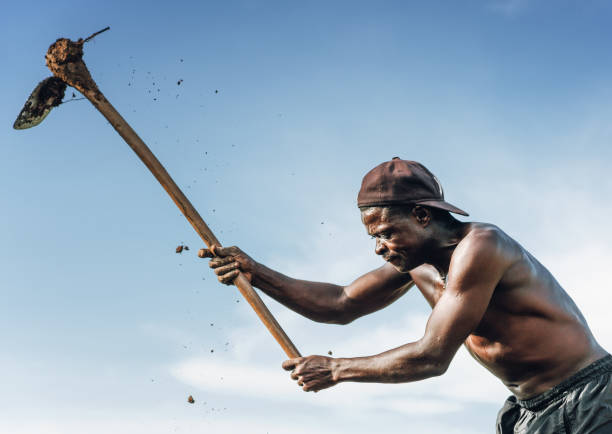 マラウイのアフリカ農村農家の肖像 - africa farmer african descent agriculture ストックフォトと画像