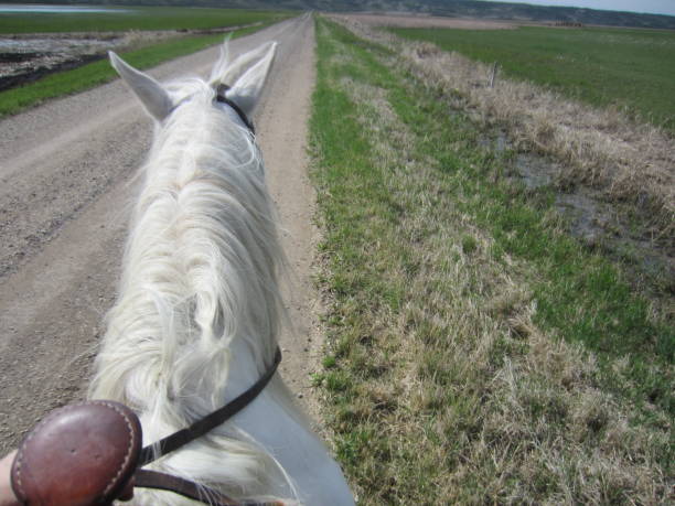 istock Riding In the Valley by Andrea Lawrence C-1020377 1137593368