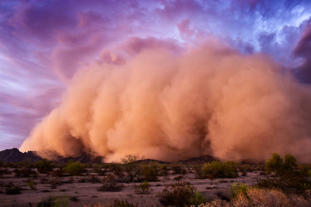 tempête de poussière haboob dans le désert de l'arizona - bizarre landscape sand blowing photos et images de collection