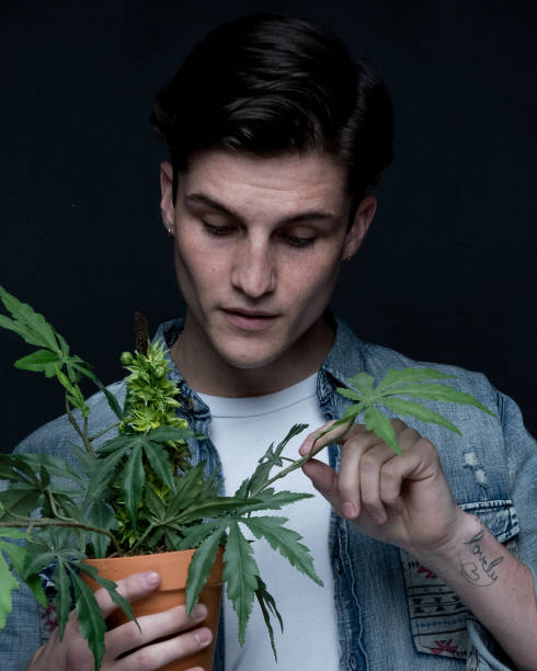 istock Close up view of man with marijuana plant 1137595229