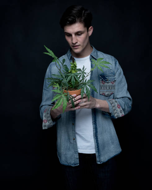 istock Close up view of man with marijuana plant 1137595252