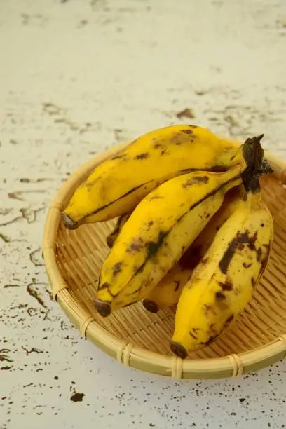 Fresh organic Latundan bananas (Tundan, Silk bananas, Pisang raja sereh, Manzana or Apple bananas)