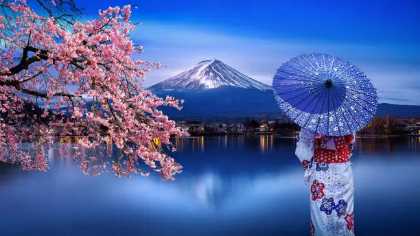 Asian woman wearing japanese traditional kimono at Fuji mountain and cherry blossom, Kawaguchiko lake in Japan.