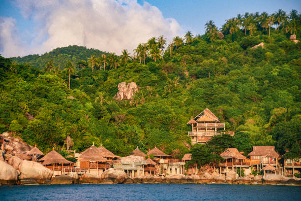istock Koh Tao Island 1137599871