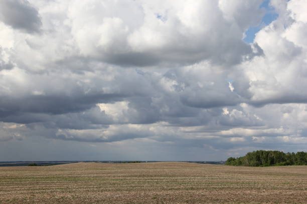 istock Fluffy Clouds after a Storm by Andrea Lawrence C 1020377 1137600884