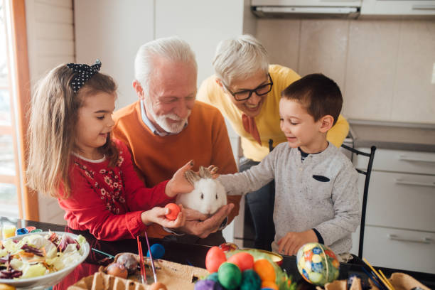 istock Family holding pet rabbit 1137601565