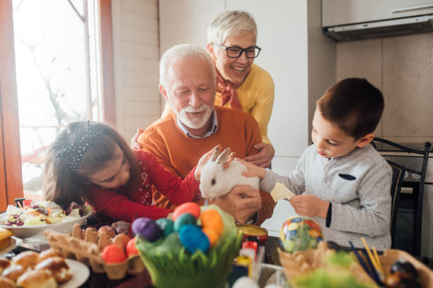 istock Mature couple with children petting a rabbit 1137601637