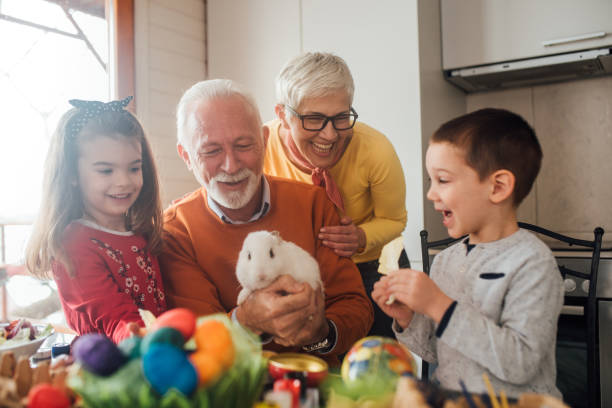 istock Smiling family playing with pet rabbit 1137601645